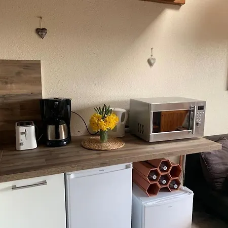 Duplex - Proche De Gerardmer Le Tholy Extérieur photo