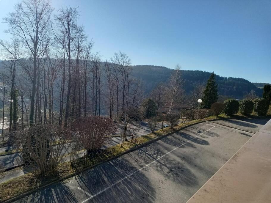 Duplex - Proche De Gerardmer *