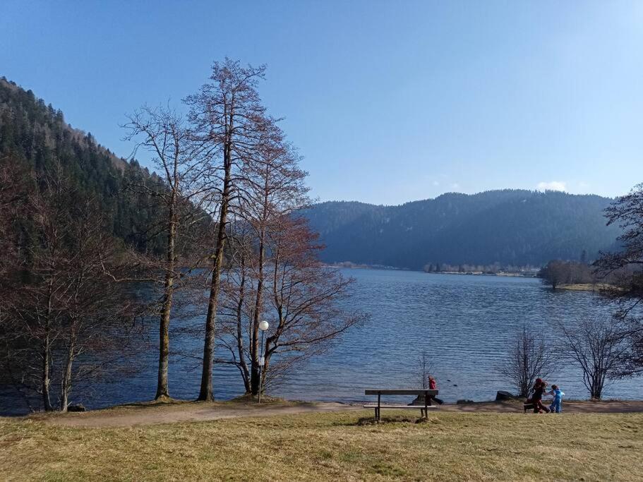 Appartement Duplex - Proche De Gerardmer