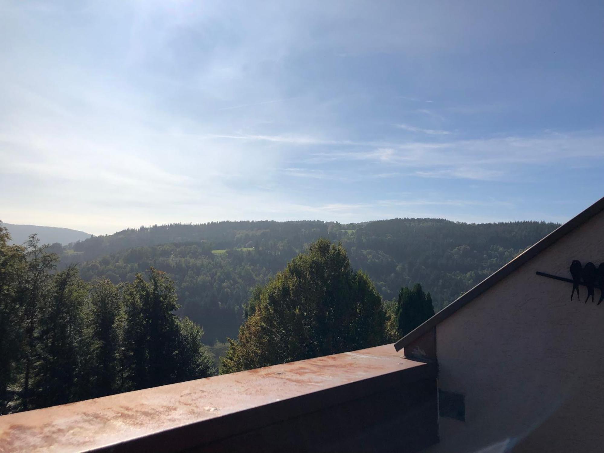 Appartement Duplex - Proche De Gerardmer *