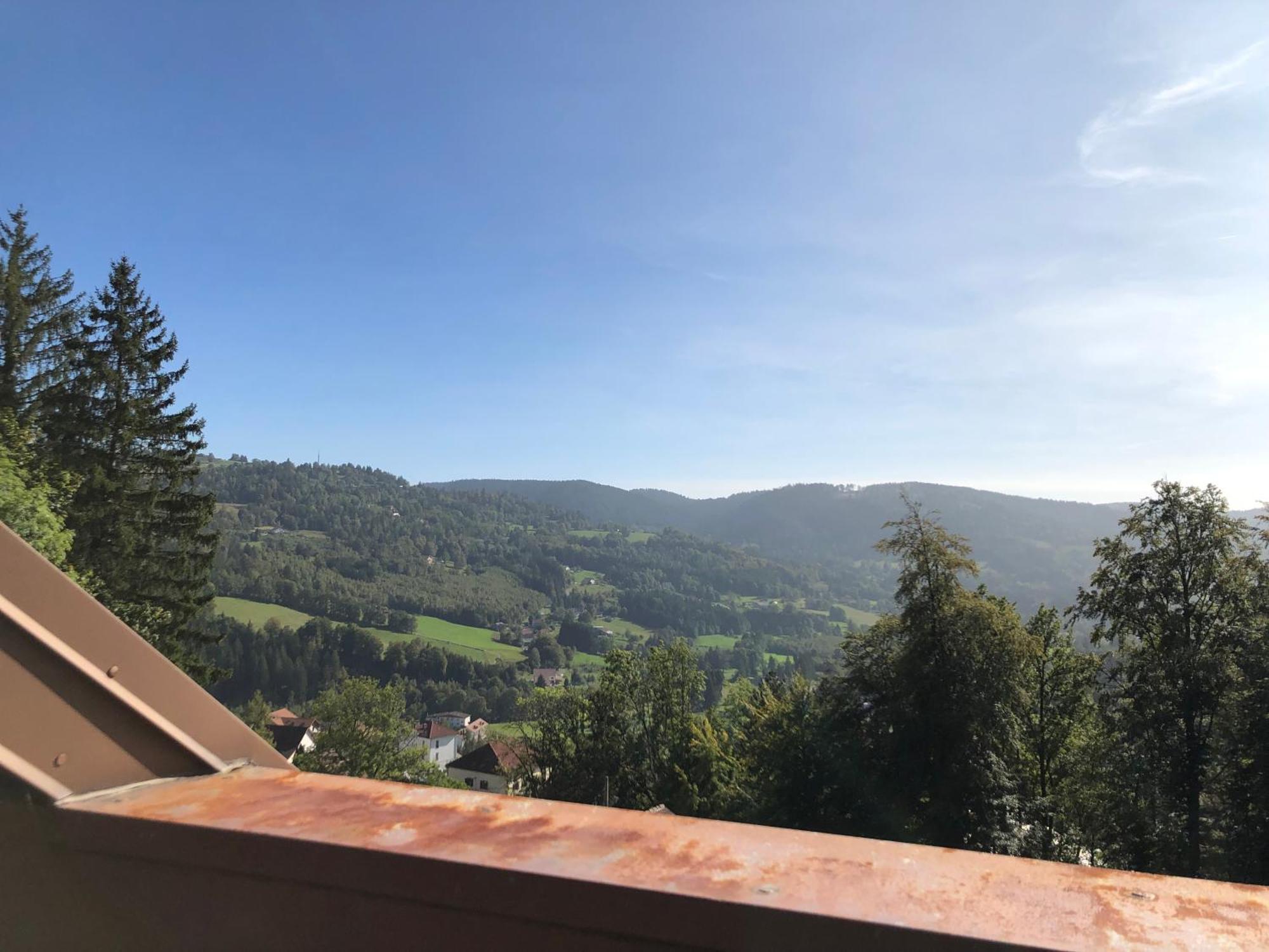 Duplex - Proche De Gerardmer